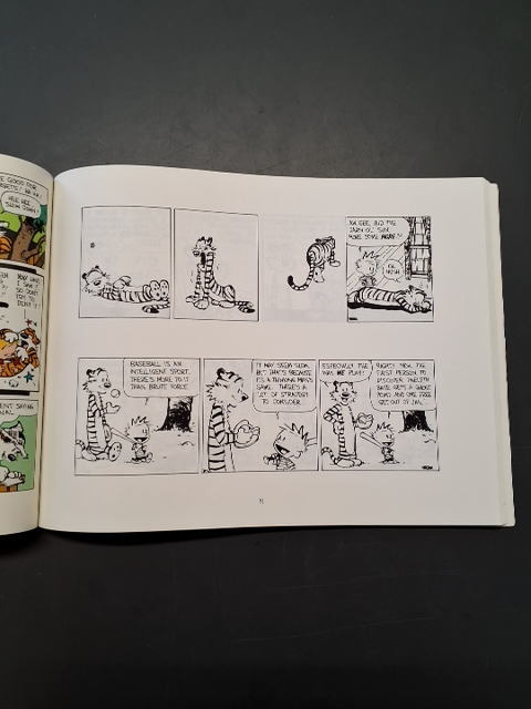 The days Are just packed A Calvin and Hobbes collection
